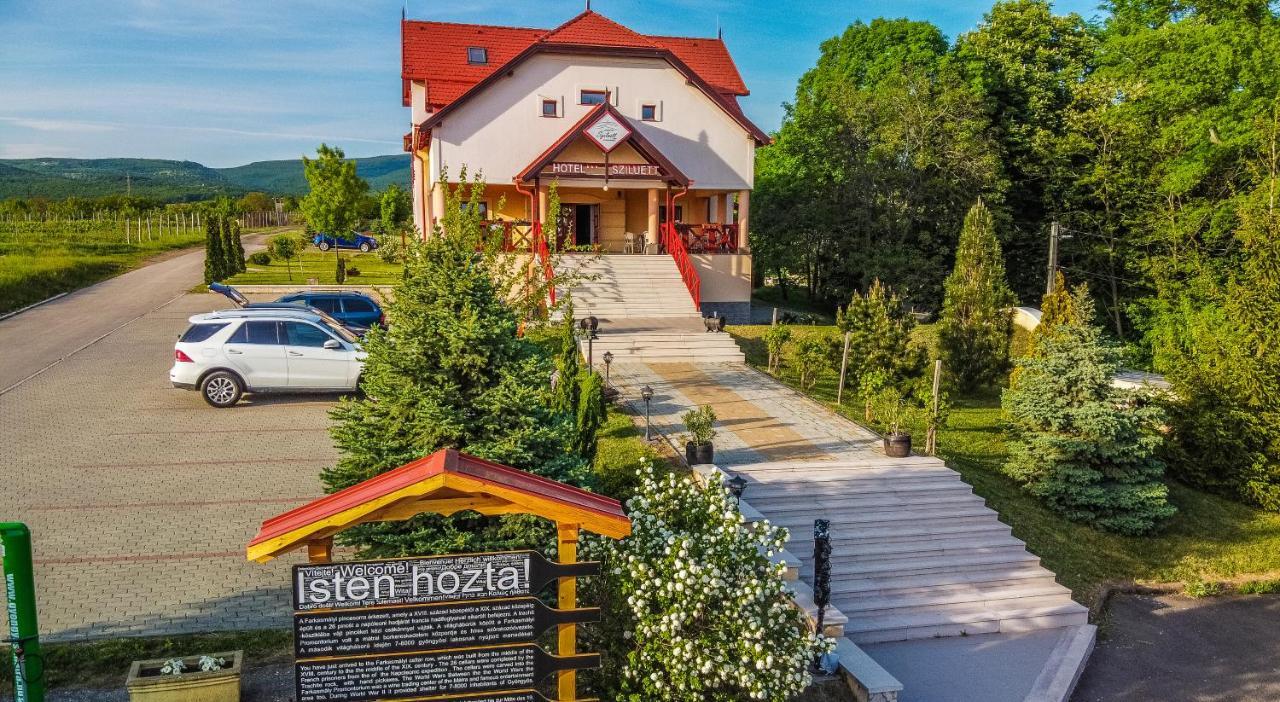 Borhotel Sziluett Farkasmaly Gyongyos Exterior photo